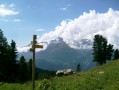 Vue sur la vallée