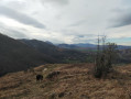 Vue sur la Vallée d'Aspe