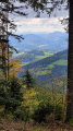 Vue sur la vallée de Fréland depuis le Rehberg