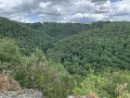 Vue sur la vallée de l'Ourthe