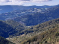 Vue sur la vallée de la Doller