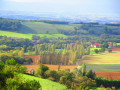 Vue sur la vallée