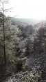Vue sur  la vallée