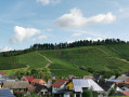 Auf den Höhen von Tiergarten und Haslach im Schwarzwald