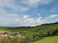 Auf den Höhen von Tiergarten und Haslach im Schwarzwald