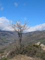 vue sur la vallée