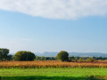 Vue sur la vallée