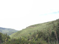 Vue sur la vall&eacute;e