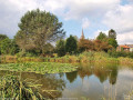 Anneau vert de Feignies