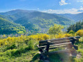 Vue sur Lautenbach