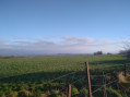 Vue sur le bassin minier