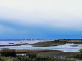 Vue sur le bassin