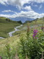Bisse du Tsittoret