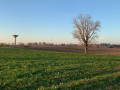 Vue sur le château d'eau de Montanay et les Monts d'Or à l'horizon