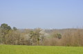 Vue sur le Chateau de Bridoré