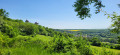 Vue sur le Château de Malbrouck