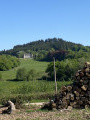 Vue sur le château de Saugny