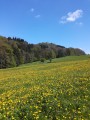 Vue sur le château