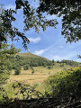 Vue sur le Grand Ballon