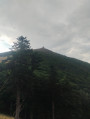 Traversée des Vosges du Sud de Kintzheim à Willer-sur-Thur