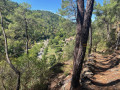 Boucle au Sud des Cévennes, du Col de Portes aux rives du Luech