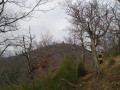 Vue sur le Haut-Koenigsbourg