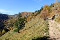 Vue sur le Hohneck depuis le sentier entre le Schiessroth et le col du Schaeferthal