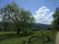 Vue sur le Jura Suisse