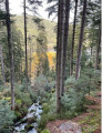 Vue sur le lac de gerardmer