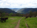 Vue sur le lac de Longemer depuis le Col de Thiaville