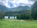 Vue sur le Lac de Lourdes 2