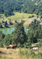 Vue sur le lac des Truites