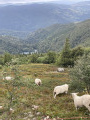 Vue sur le lac du ballon