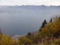 Vue sur le Lac Léman