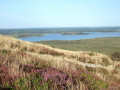 Circuit des landes et tourbières depuis Botmeur