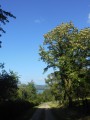 Vue sur le lac Vue sur le lac