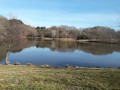 Vue sur le lac Vue sur le lac