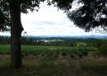 vue sur le lac vue sur le lac