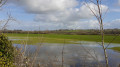 Vue sur  le marais
