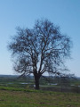vue sur le marais