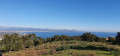 Vue sur le massif de l'Esterel