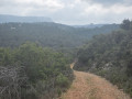 vue sur le massif de la sainte Baume et les dents de Roque forcade