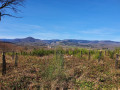Vue sur le massif des Vosges Vue sur le massif des Vosges