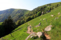 Vue sur le massif du Hohneck