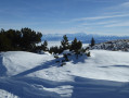 Vue sur le Mont Blanc depuis le Cret de la Neige