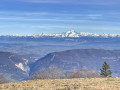 Boucle au Nord du Grand Colombier pour admirer les Alpes et le Valromey