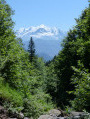 Vue sur le Mont-Blanc