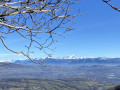 vue sur le Mont-Blanc