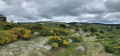 vue sur le Mont Lozère et la ferme de l'Aubaret vue sur le Mont Lozère et la ferme de l'Aubaret
