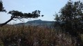Vue sur le Mont Mésenc